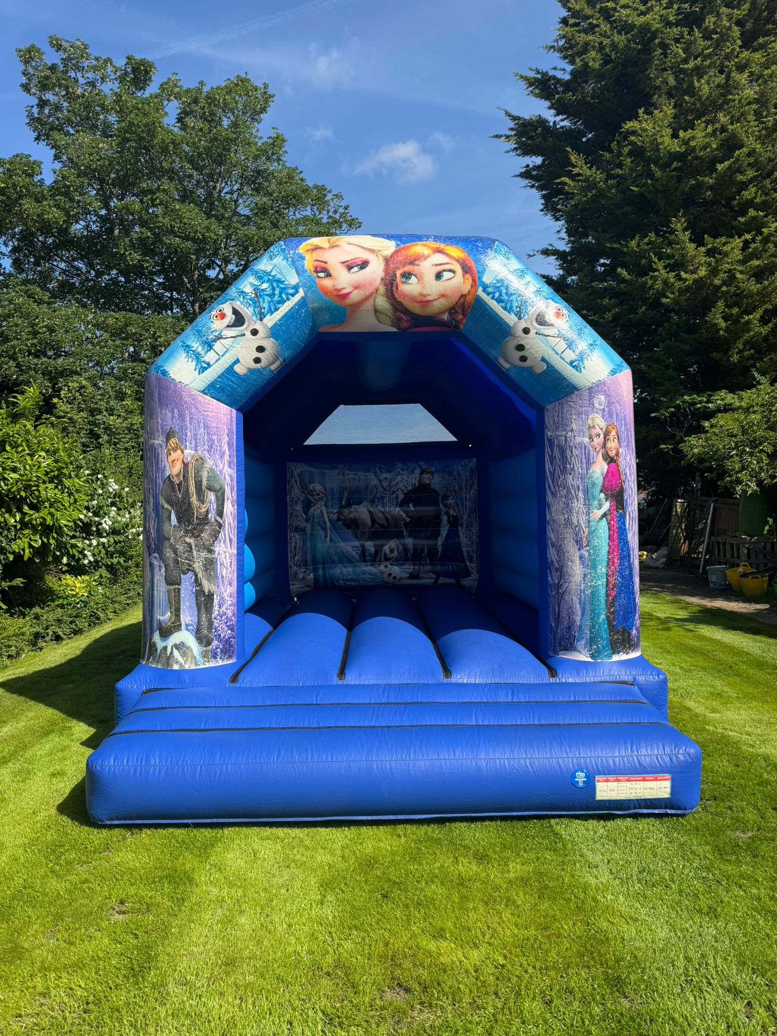 Frozen themed bouncy castle